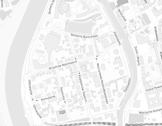 Mapa z adresem organizacji
