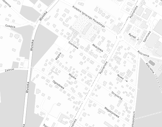 Mapa z adresem organizacji