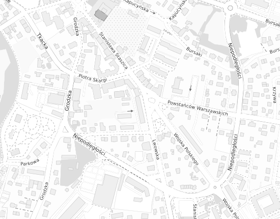 Mapa z adresem organizacji