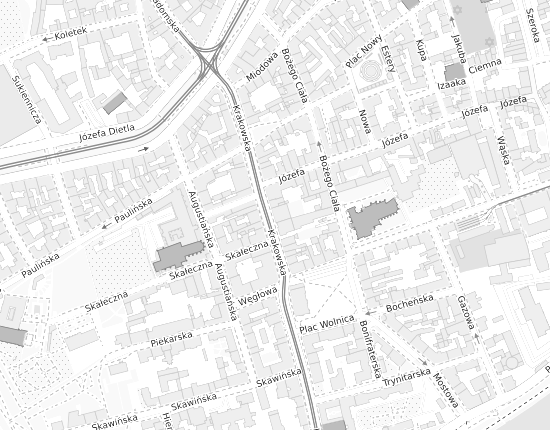 Mapa z adresem organizacji