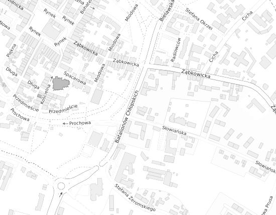 Mapa z adresem organizacji