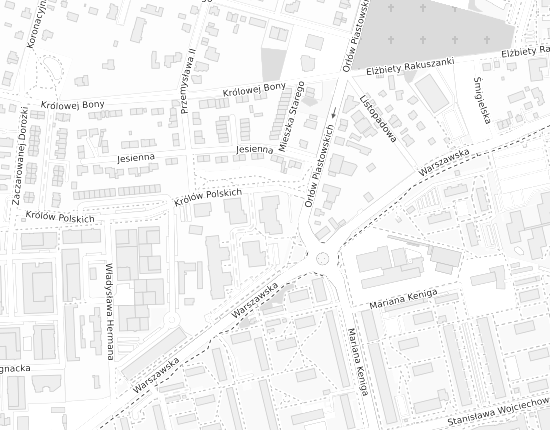 Mapa z adresem organizacji