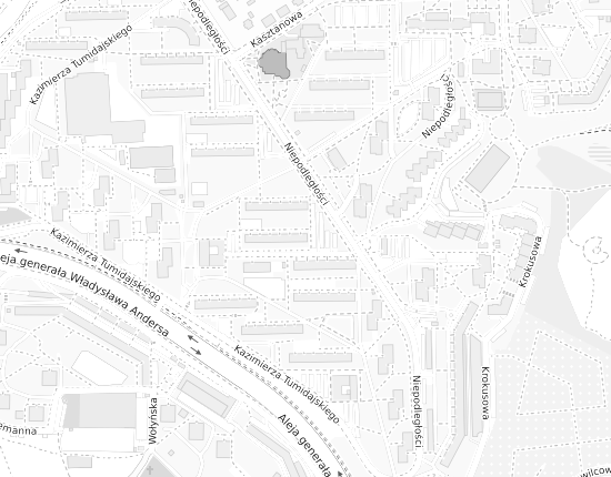 Mapa z adresem organizacji