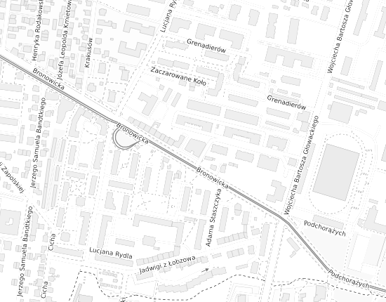 Mapa z adresem organizacji