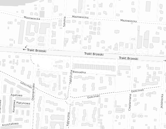 Mapa z adresem organizacji