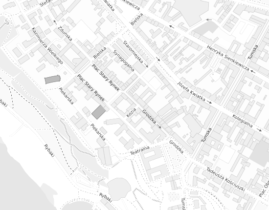 Mapa z adresem organizacji