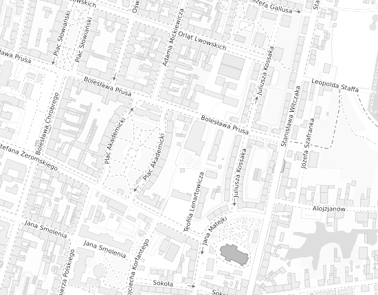 Mapa z adresem organizacji