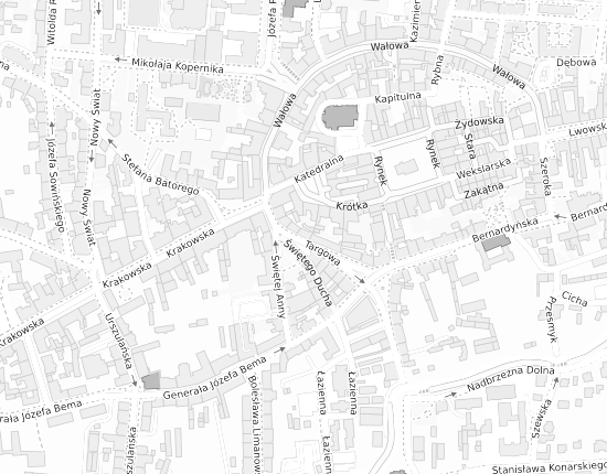 Mapa z adresem organizacji