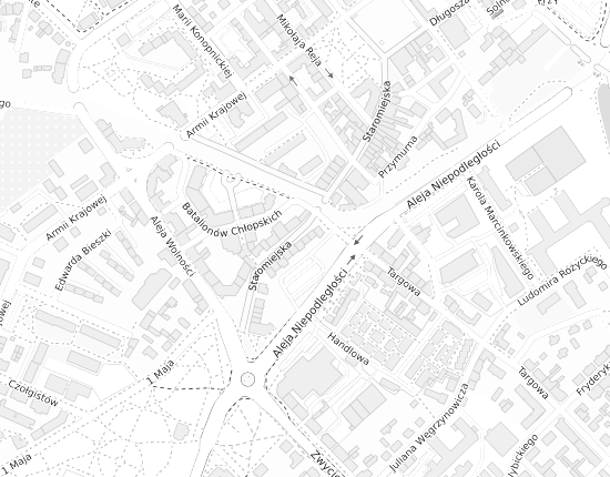 Mapa z adresem organizacji