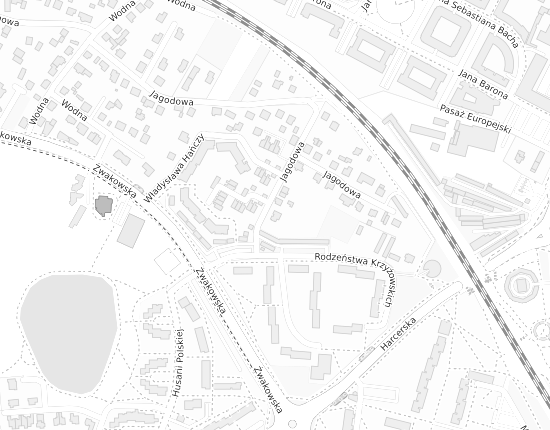 Mapa z adresem organizacji