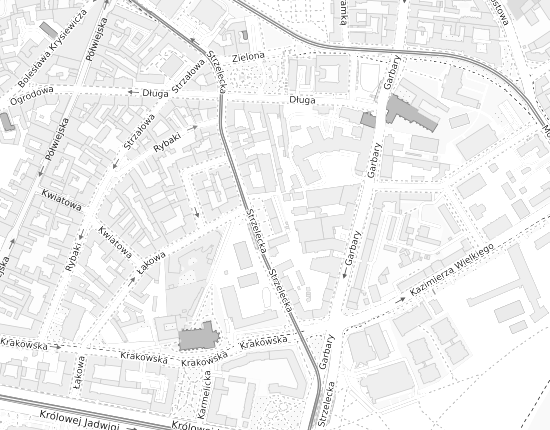 Mapa z adresem organizacji