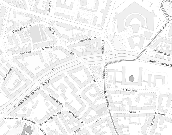 Mapa z adresem organizacji