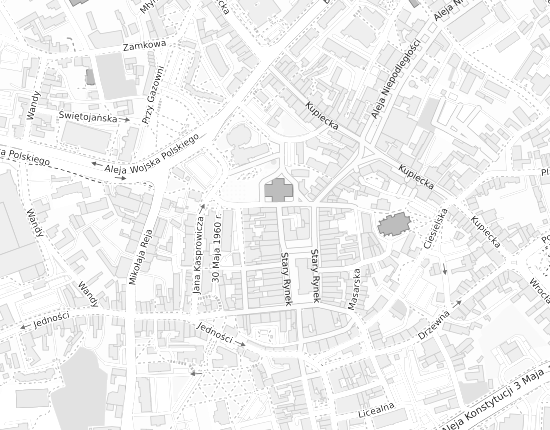 Mapa z adresem organizacji