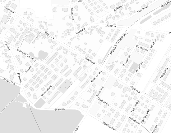 Mapa z adresem organizacji