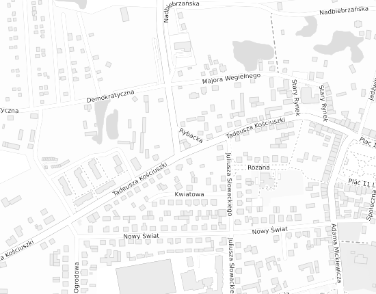 Mapa z adresem organizacji