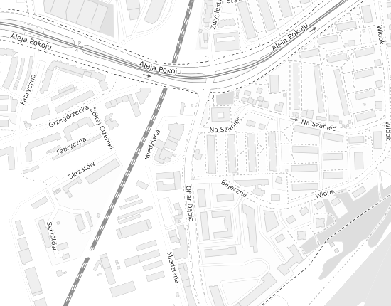 Mapa z adresem organizacji