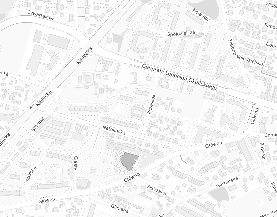 Mapa z adresem organizacji