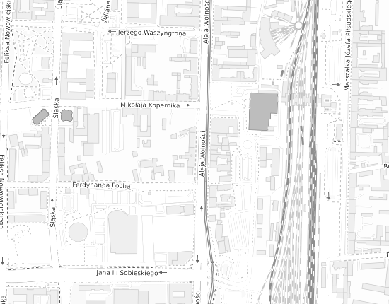 Mapa z adresem organizacji