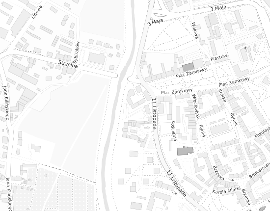 Mapa z adresem organizacji