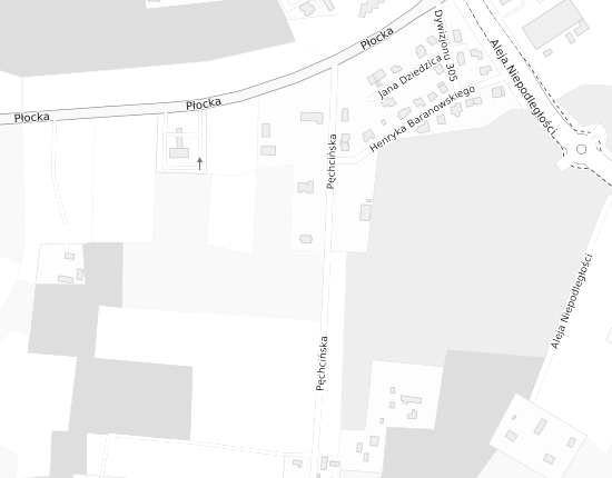 Mapa z adresem organizacji