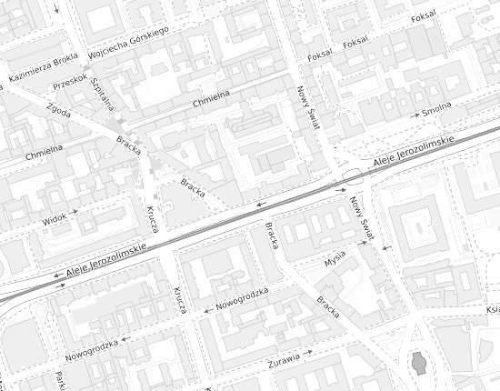 Mapa z adresem organizacji