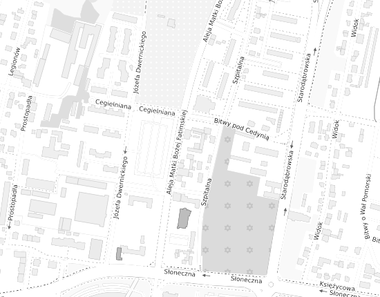 Mapa z adresem organizacji