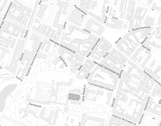 Mapa z adresem organizacji