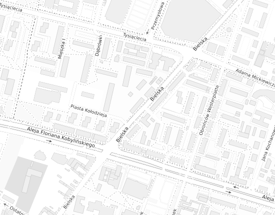 Mapa z adresem organizacji