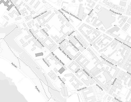 Mapa z adresem organizacji
