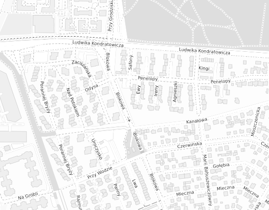 Mapa z adresem organizacji