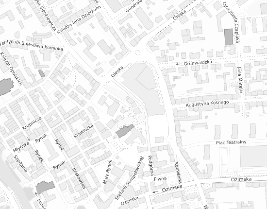 Mapa z adresem organizacji