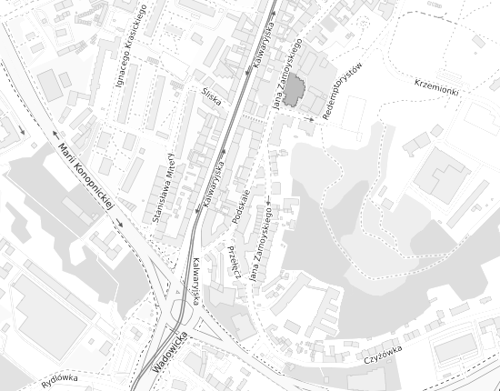 Mapa z adresem organizacji