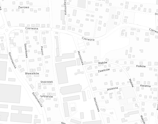 Mapa z adresem organizacji