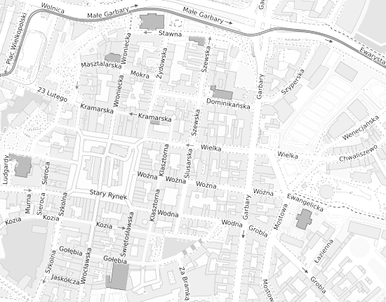 Mapa z adresem organizacji