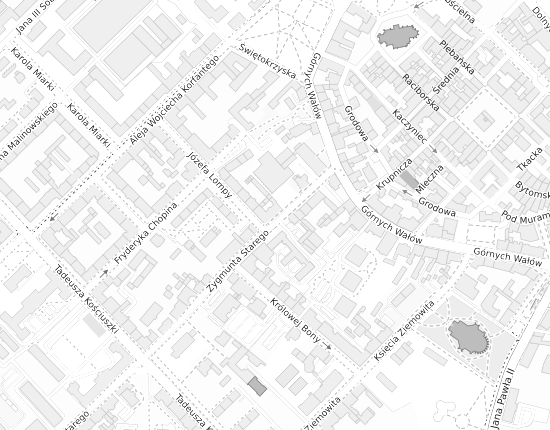 Mapa z adresem organizacji