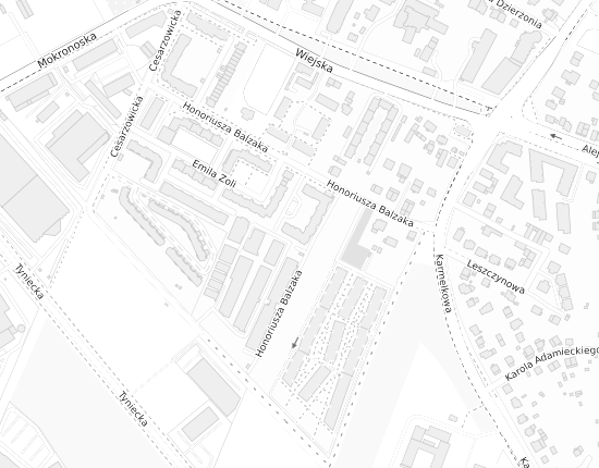 Mapa z adresem organizacji
