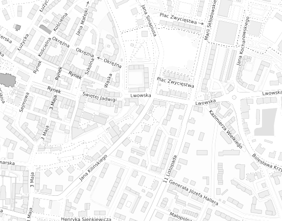 Mapa z adresem organizacji