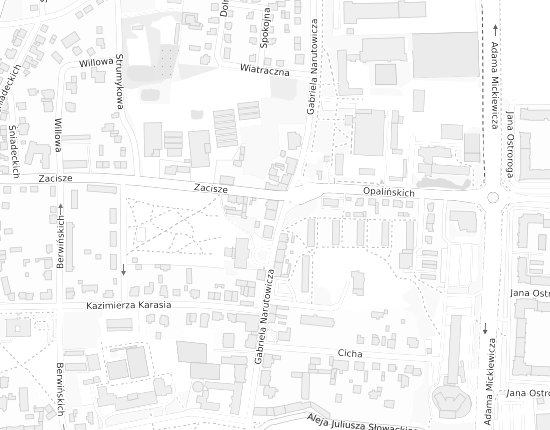 Mapa z adresem organizacji