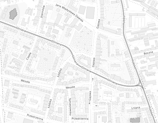 Mapa z adresem organizacji
