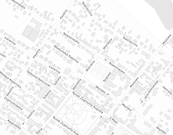 Mapa z adresem organizacji