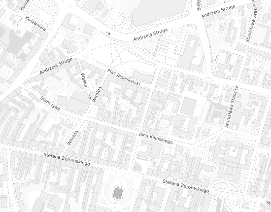 Mapa z adresem organizacji