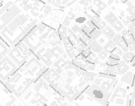 Mapa z adresem organizacji