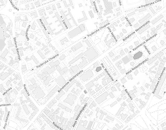 Mapa z adresem organizacji