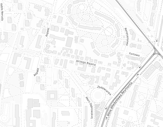 Mapa z adresem organizacji