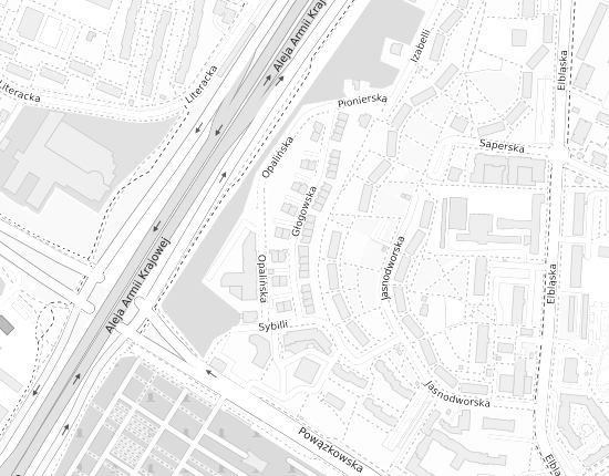 Mapa z adresem organizacji