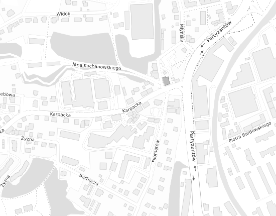 Mapa z adresem organizacji
