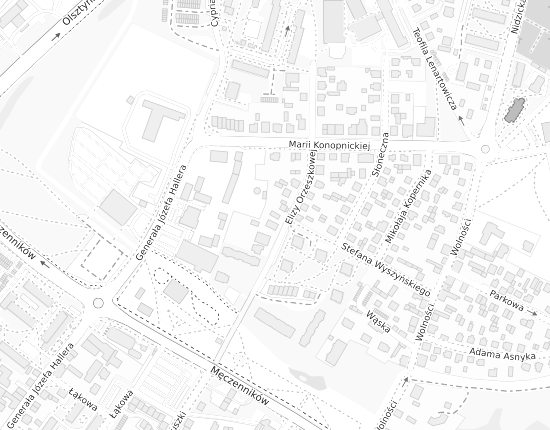Mapa z adresem organizacji