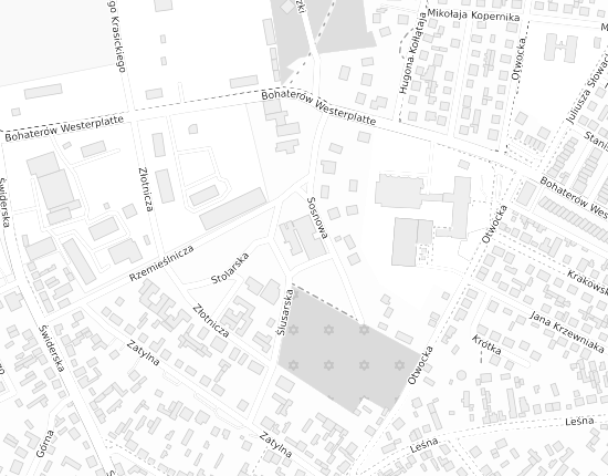 Mapa z adresem organizacji