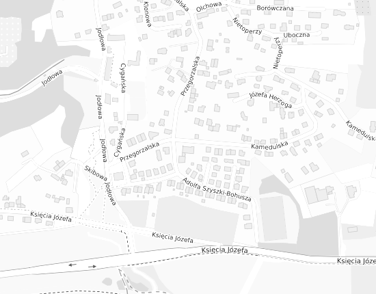 Mapa z adresem organizacji