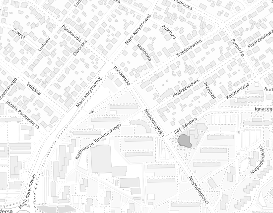 Mapa z adresem organizacji